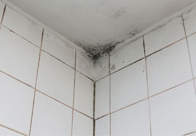 Techo de baño - antes